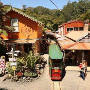 Driving Creek Railway (1/2)