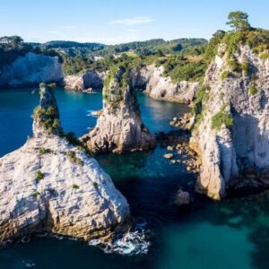 Full Monty Ocean Leopard (1/4)