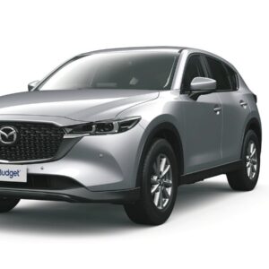 Huurauto Noordereiland 7 dagen (1/10)